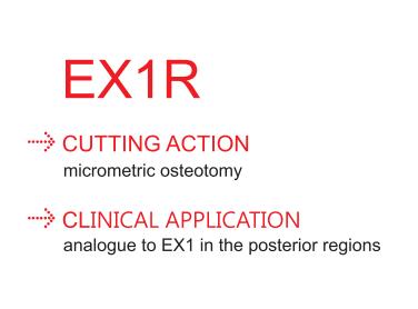 EX1R Scaling Tips(3pcs in the pack )